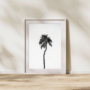 Minimalist Black & White Palm Tree Landscape 8x10 Photo Art Print